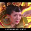 摇头摆尾的动物猜生肖
